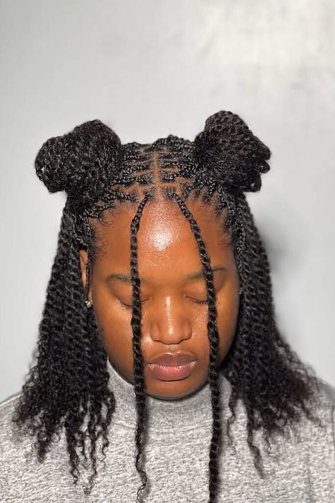 26 Two Strand Twist Natural Hair Ideas for 2026
